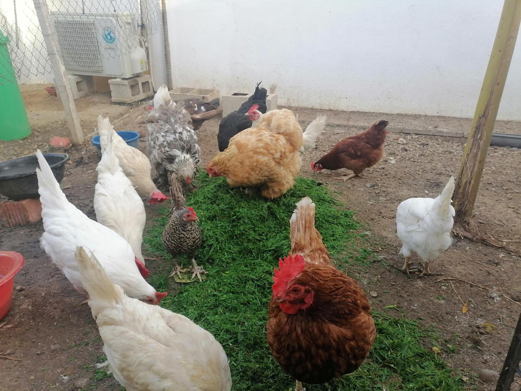 Mis Princesas En Casa Chiclana de la Frontera Zewnętrze zdjęcie